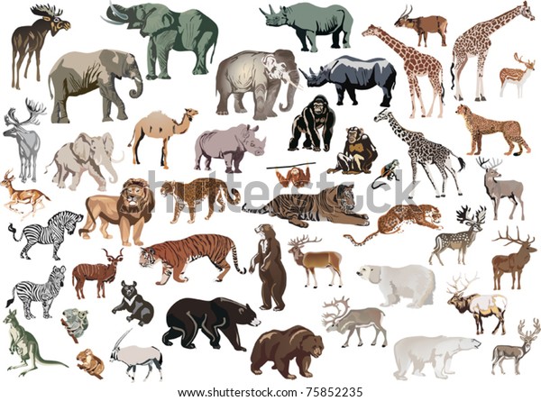 Illustration Animals Collection Isolated On White Stock Vector (royalty 