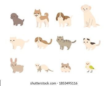 The illustration of animals. dog and cat and rabbit and ferret and hamster and birds.