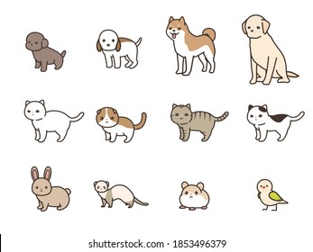 The illustration of animals. dog and cat and rabbit and ferret and hamster and birds.