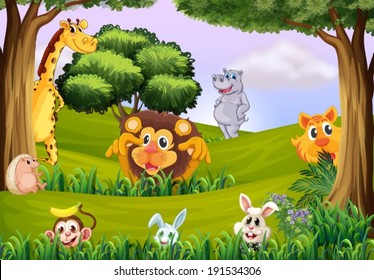 Illustration of the animals at the forest