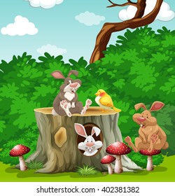Illustration of animals gathered by a log