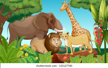 Illustration of animals in the jungle