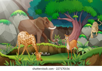 Illustration of animals in the jungle