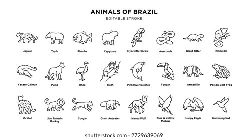 Illustration von Tieren aus Brasilien, darunter Jaguar, Tapir, Piranha, Capybara, Aras, Anakonda, Riesenotter, Kinkajou, Kaiman, Puma, Faultier, Tukan, Gürteltier und mehr.