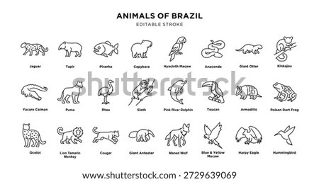 Illustration of animals native to brazil, including jaguar, tapir, piranha, capybara, macaws, anaconda, giant otter, kinkajou, caiman, puma, sloth, toucan, armadillo, and more.