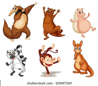 Illustration of animals on white