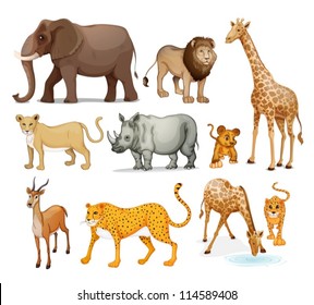 illustration of Animals in on a white background