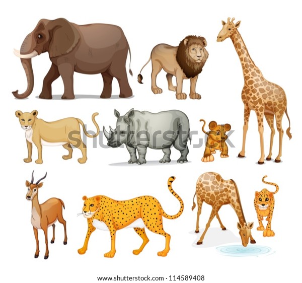 Illustration Animals On White Background Stock Vector (Royalty Free ...