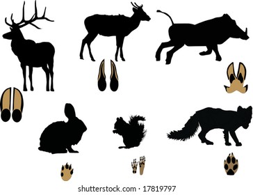 275 Squirrel footprint vector Images, Stock Photos & Vectors | Shutterstock