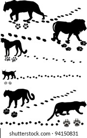 ilustración con animales y sus pistas aisladas en blanco