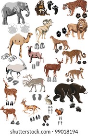 illustration with animals and its tracks isolated on white