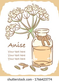 Illustration of Anise and aromatherapy bottle. Vector illustration.