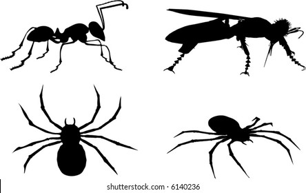 illustration with ant, bee and spider silhouettes