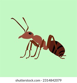 Illustration of ant cartoon on green  background
