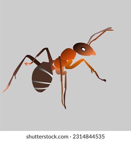Illustration of ant cartoon on grey background
