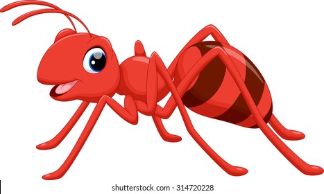 Illustration of ant cartoon on white background