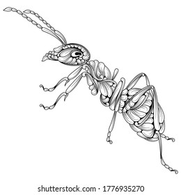 ilustración de hormiga con decoración