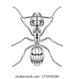 illustration of ant with decoration