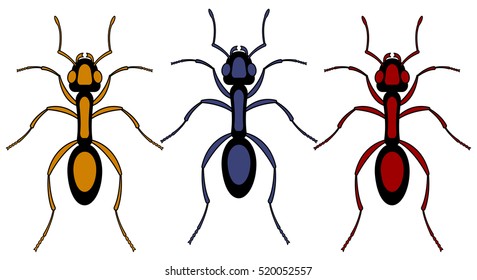 Illustration of the ant insect set