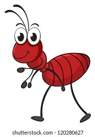 illustration of an ant on a white background