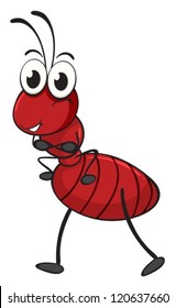 illustration of an ant on a white background