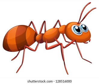 Illustration of an ant on a white background