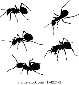 illustration with ant silhouettes isolated on white background