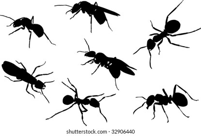 illustration with ant silhouettes isolated on white background