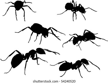 illustration with ant silhouettes isolated on white background