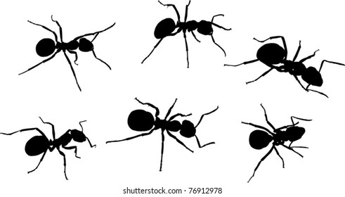 13,490 Ant silhouette Images, Stock Photos & Vectors | Shutterstock