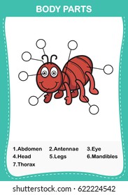 Illustration of ant vocabulary part of body,Write the correct numbers of body parts.vector