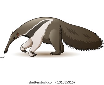 Illustration of anteater isolated on white background