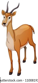 illustration of a antelope a white background