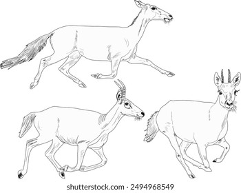 Illustration mit Antilopenset isoliert auf weißem Hintergrund
