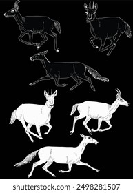 illustration with antelopes set isolated on black background