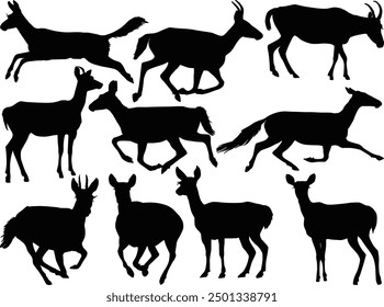 illustration with antelopes set isolated on white background