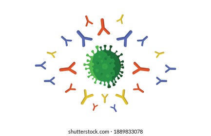 illustration Antibodies attacking SARS-CoV-2 virus or coronavirus, vaccine coronavirus attacking virus, covid-19 attacking antibody flat style design