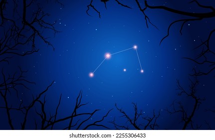 Illustration  of Antila constellation. Bright constellation in open space, blue sky. Starry sky behind tree silhouette