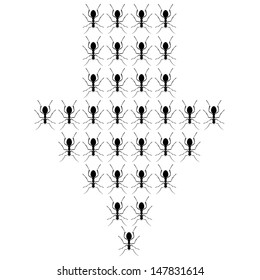 Illustration of Ants in the form of arrows Isolated on a White Background. Vector.