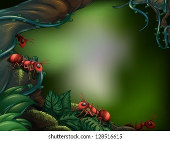 Illustration of the ants at the rain forest