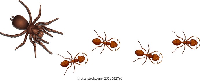 Illustration of ants and a spider together