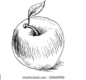 Drawing Apple Pic