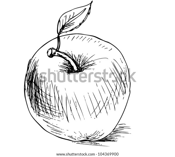 イラスト リンゴ のベクター画像素材 ロイヤリティフリー