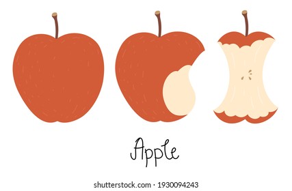 Illustration of an apple, bitten apple, apple core, and hand-drawn text - Apple. Cute flat vector illustration in nice colors. Isolated on white.