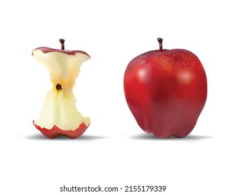 Illustration of an apple, apple core , Isolated on white.