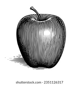 Illustration of an apple isolated on a white background in a vintage woodcut style. the shadow is held on a seperate layer for easy of remove if required. 