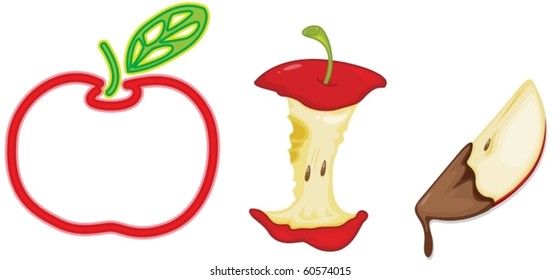 illustration of a apple on a white background