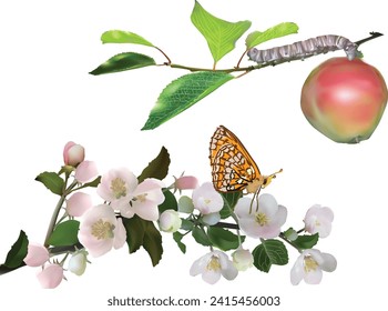 ilustración con ramas de árbol de manzana y mariposa aisladas en fondo blanco