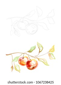 Illustration of apple tree branches
Picturesque drawing of masks and lines of apple branches
Vector artistic drawing of fruits