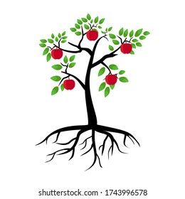 illustration of an apple tree, in a flat style.
